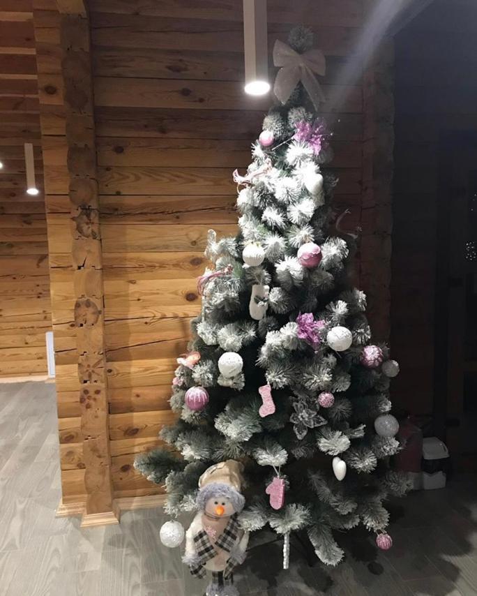 Appartamento Golden Nest Yablunytsya Esterno foto