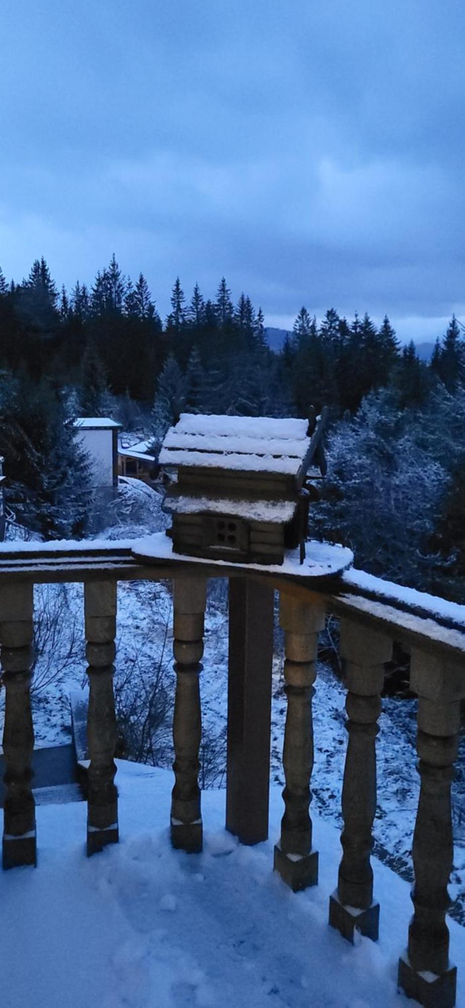 Appartamento Golden Nest Yablunytsya Esterno foto