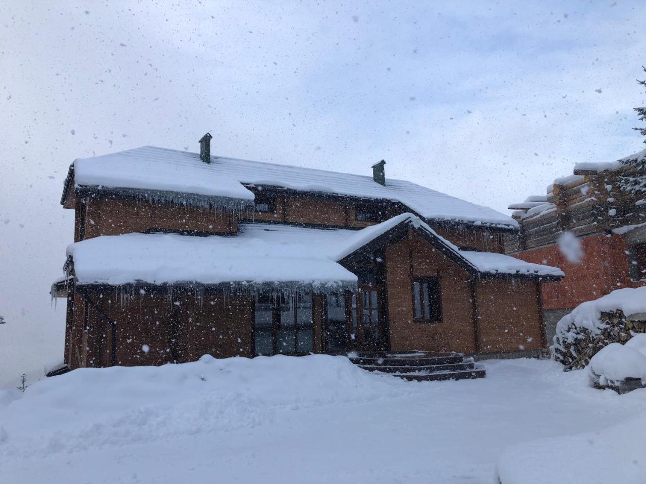 Appartamento Golden Nest Yablunytsya Esterno foto